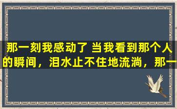 那一刻我感动了 当我看到那个人的瞬间，泪水止不住地流淌，那一刻我感动了。
